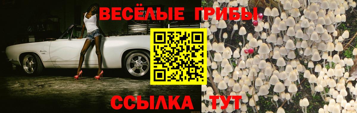 Галлюциногенные грибы мухоморы Севастополь