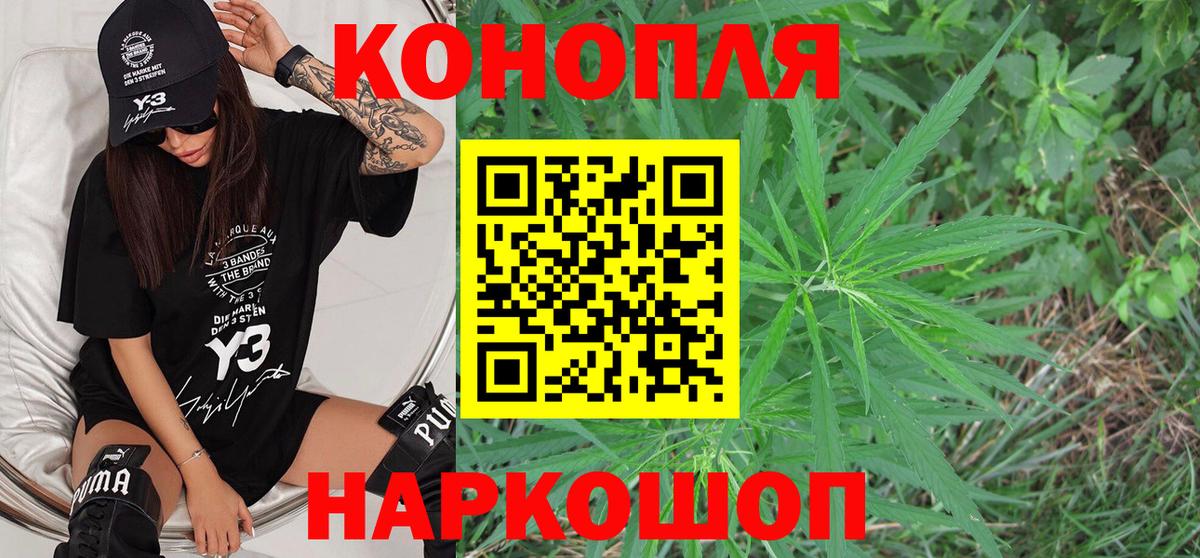 Конопля сатива  МАРИХУАНА планчик  Севастополь  Конопля LSD WEED  Вход с VPN 